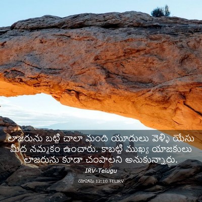 Picture 03 - యోహాను 12:10 TELIRV - లాజరును బట్టి - Bible Verse Picture