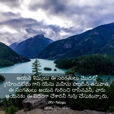 Picture 03 - యోహాను 12:16 TELIRV - ఆయన శిష్యులు ఈ - Bible Verse Picture