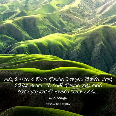 Picture 03 - యోహాను 12:2 TELIRV - అక్కడ ఆయన కోసం - Bible Verse Picture