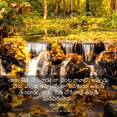 Picture 03 - యోహాను 12:26 TELIRV - నాకు సేవ చేసేవాడు - Bible Verse Picture