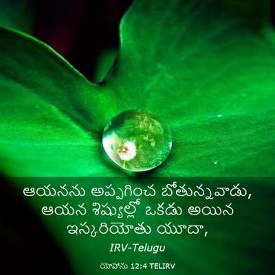 Picture 03 - యోహాను 12:4 TELIRV - ఆయనను అప్పగించ - Bible Verse Picture