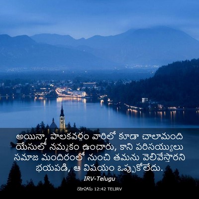Picture 03 - యోహాను 12:42 TELIRV - అయినా, పాలకవర్గం - Bible Verse Picture