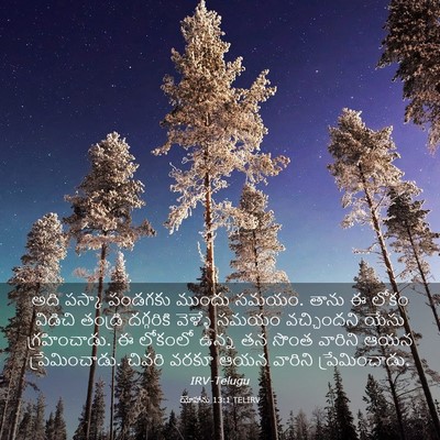 Picture 03 - యోహాను 13:1 TELIRV - అది పస్కా పండగకు - Bible Verse Picture