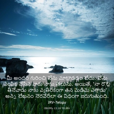 Picture 03 - యోహాను 13:18 TELIRV - మీ అందరి గురించి - Bible Verse Picture
