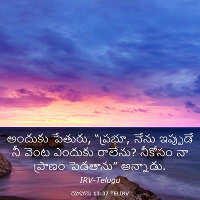 Picture 03 - యోహాను 13:37 TELIRV - అందుకు పేతురు, - Bible Verse Picture
