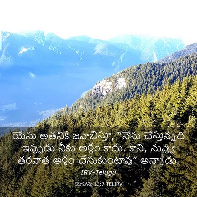 Picture 03 - యోహాను 13:7 TELIRV - యేసు అతనికి - Bible Verse Picture