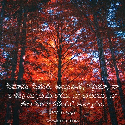Picture 03 - యోహాను 13:9 TELIRV - సీమోను పేతురు - Bible Verse Picture
