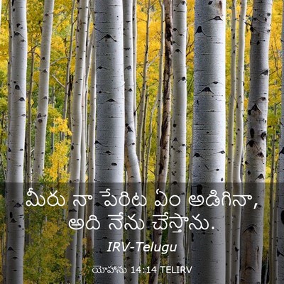 Picture 03 - యోహాను 14:14 TELIRV - మీరు నా పేరిట ఏం - Bible Verse Picture