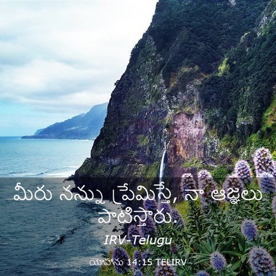 Picture 03 - యోహాను 14:15 TELIRV - మీరు నన్ను - Bible Verse Picture