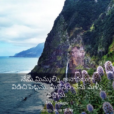 Picture 03 - యోహాను 14:18 TELIRV - నేను మిమ్మల్ని - Bible Verse Picture