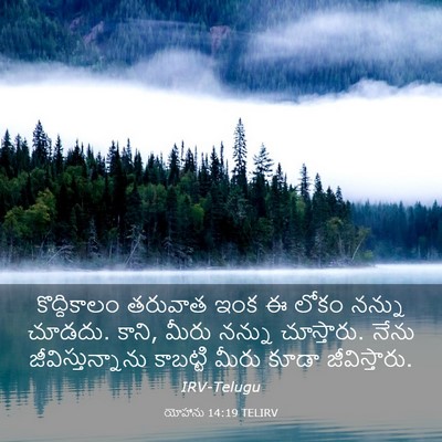 Picture 03 - యోహాను 14:19 TELIRV - కొద్దికాలం తరువాత - Bible Verse Picture
