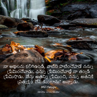 Picture 03 - యోహాను 14:21 TELIRV - నా ఆజ్ఞలను - Bible Verse Picture
