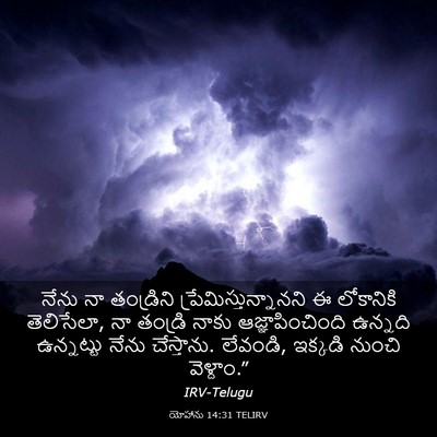 Picture 03 - యోహాను 14:31 TELIRV - నేను నా తండ్రిని - Bible Verse Picture