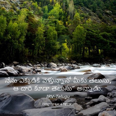 Picture 03 - యోహాను 14:4 TELIRV - నేను ఎక్కడికి - Bible Verse Picture