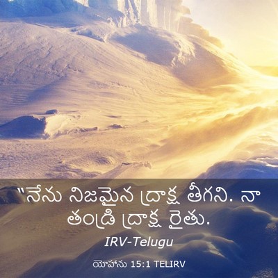 Picture 03 - యోహాను 15:1 TELIRV - “నేను నిజమైన - Bible Verse Picture