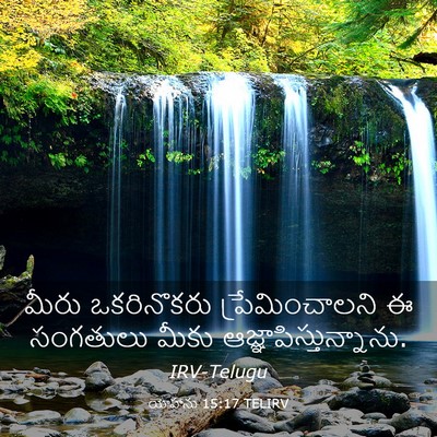 Picture 03 - యోహాను 15:17 TELIRV - మీరు ఒకరినొకరు - Bible Verse Picture