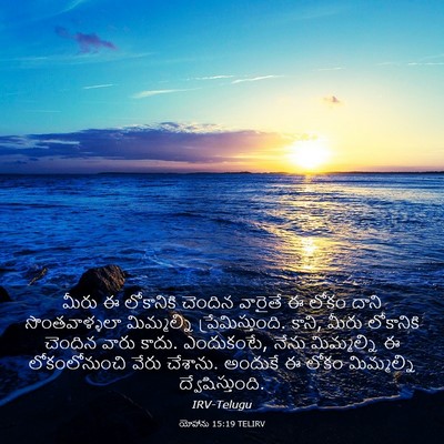 Picture 03 - యోహాను 15:19 TELIRV - మీరు ఈ లోకానికి - Bible Verse Picture