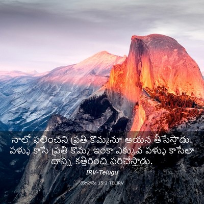 Picture 03 - యోహాను 15:2 TELIRV - నాలో ఫలించని - Bible Verse Picture