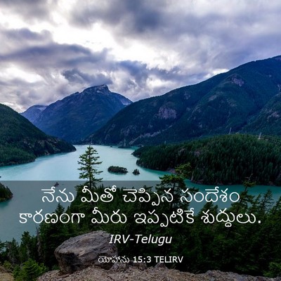 Picture 03 - యోహాను 15:3 TELIRV - నేను మీతో చెప్పిన - Bible Verse Picture
