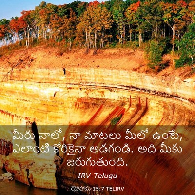 Picture 03 - యోహాను 15:7 TELIRV - మీరు నాలో, నా మాటలు - Bible Verse Picture