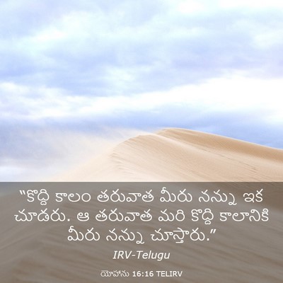 Picture 03 - యోహాను 16:16 TELIRV - “కొద్ది కాలం - Bible Verse Picture
