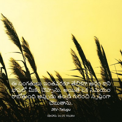 Picture 03 - యోహాను 16:25 TELIRV - ఈ సంగతులు ఇంతవరకూ - Bible Verse Picture