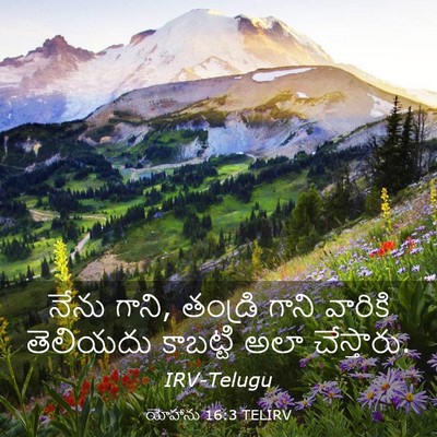 Picture 03 - యోహాను 16:3 TELIRV - నేను గాని, తండ్రి - Bible Verse Picture