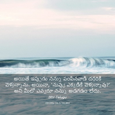 Picture 03 - యోహాను 16:5 TELIRV - అయితే ఇప్పుడు - Bible Verse Picture