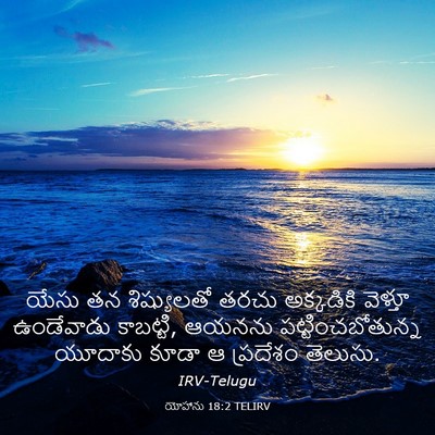 Picture 03 - యోహాను 18:2 TELIRV - యేసు తన శిష్యులతో - Bible Verse Picture