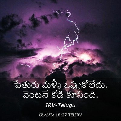 Picture 03 - యోహాను 18:27 TELIRV - పేతురు మళ్ళీ - Bible Verse Picture
