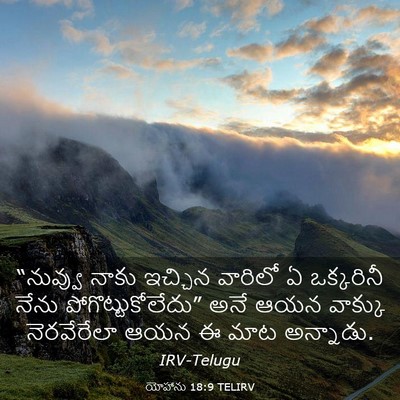 Picture 03 - యోహాను 18:9 TELIRV - “నువ్వు నాకు - Bible Verse Picture