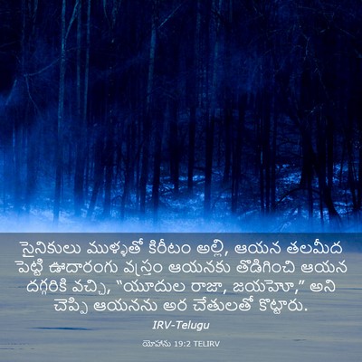Picture 03 - యోహాను 19:2 TELIRV - సైనికులు ముళ్ళతో - Bible Verse Picture