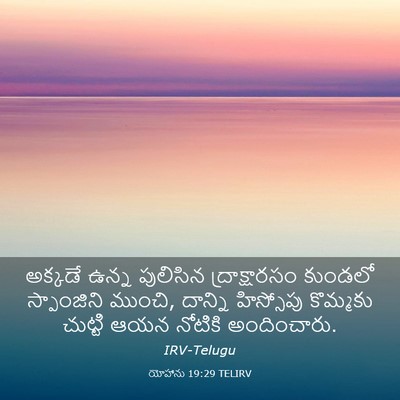 Picture 03 - యోహాను 19:29 TELIRV - అక్కడే ఉన్న - Bible Verse Picture