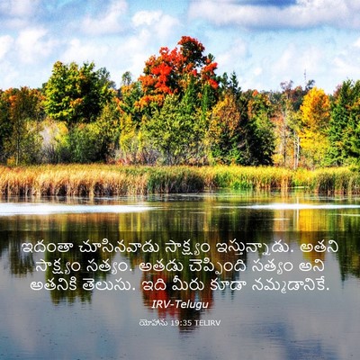 Picture 03 - యోహాను 19:35 TELIRV - ఇదంతా చూసినవాడు - Bible Verse Picture