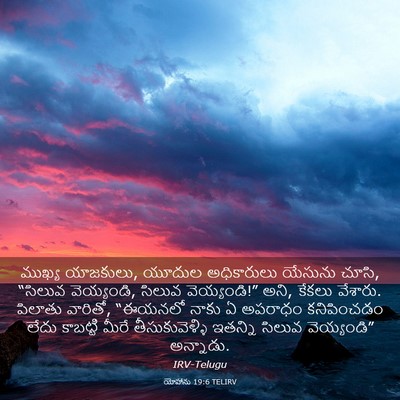 Picture 03 - యోహాను 19:6 TELIRV - ముఖ్య యాజకులు, - Bible Verse Picture