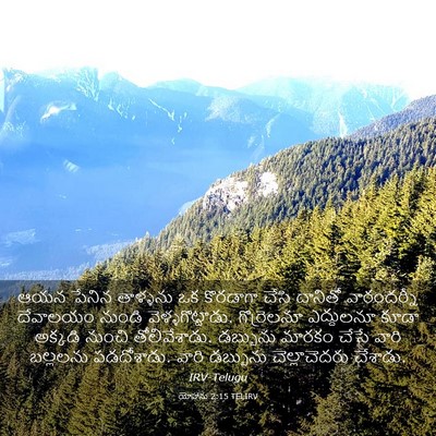 Picture 03 - యోహాను 2:15 TELIRV - ఆయన పేనిన తాళ్ళను - Bible Verse Picture