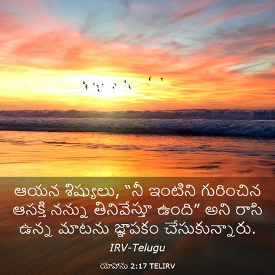 Picture 03 - యోహాను 2:17 TELIRV - ఆయన శిష్యులు, “నీ - Bible Verse Picture