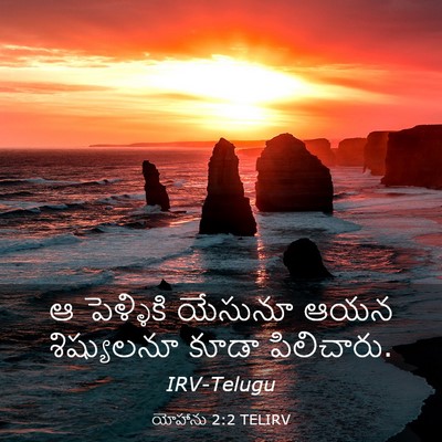 Picture 03 - యోహాను 2:2 TELIRV - ఆ పెళ్ళికి యేసునూ - Bible Verse Picture