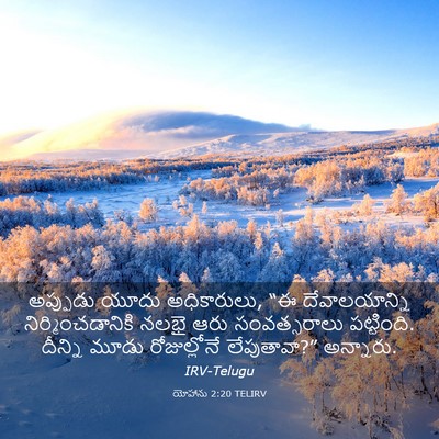 Picture 03 - యోహాను 2:20 TELIRV - అప్పుడు యూదు - Bible Verse Picture