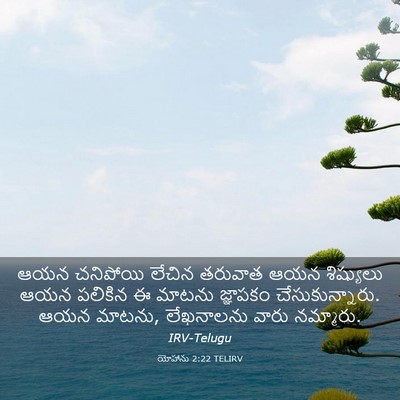 Picture 03 - యోహాను 2:22 TELIRV - ఆయన చనిపోయి లేచిన - Bible Verse Picture