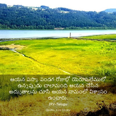 Picture 03 - యోహాను 2:23 TELIRV - ఆయన పస్కా పండగ - Bible Verse Picture