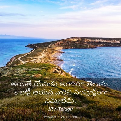 Picture 03 - యోహాను 2:24 TELIRV - అయితే యేసుకు - Bible Verse Picture