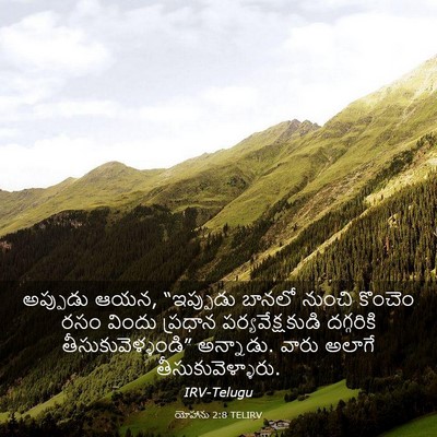 Picture 03 - యోహాను 2:8 TELIRV - అప్పుడు ఆయన, - Bible Verse Picture