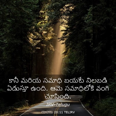 Picture 03 - యోహాను 20:11 TELIRV - కానీ మరియ సమాధి - Bible Verse Picture