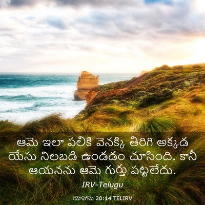 Picture 03 - యోహాను 20:14 TELIRV - ఆమె ఇలా పలికి - Bible Verse Picture