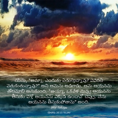 Picture 03 - యోహాను 20:15 TELIRV - యేసు, “అమ్మా, - Bible Verse Picture