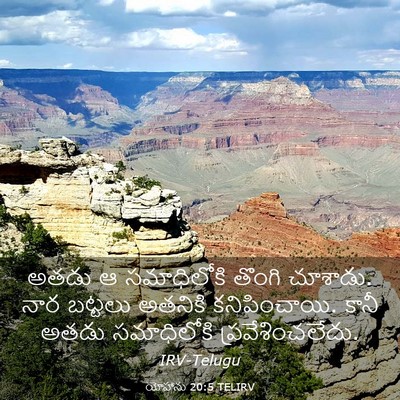Picture 03 - యోహాను 20:5 TELIRV - అతడు ఆ సమాధిలోకి - Bible Verse Picture