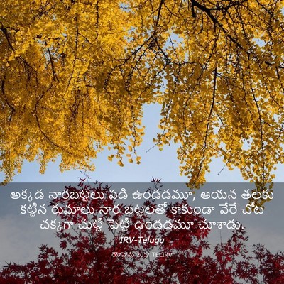 Picture 03 - యోహాను 20:7 TELIRV - అక్కడ నారబట్టలు - Bible Verse Picture