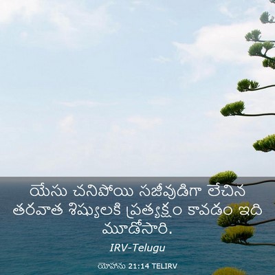 Picture 03 - యోహాను 21:14 TELIRV - యేసు చనిపోయి - Bible Verse Picture