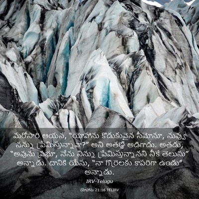 Picture 03 - యోహాను 21:16 TELIRV - మరోసారి ఆయన, - Bible Verse Picture